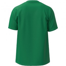 Mizuno T-Shirt Training Tee Uomo Verde
